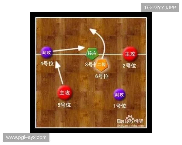 排球发球破攻最新数据揭示关键胜负因素 排球发球破攻最新数据揭示关键胜负因素